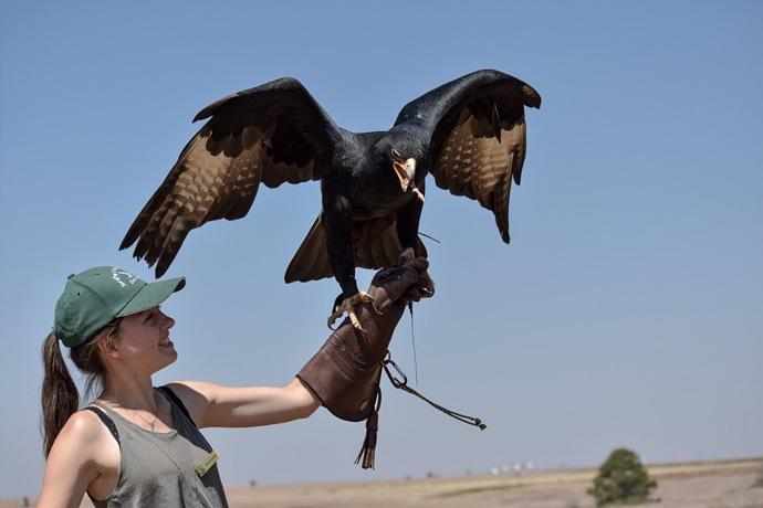 Attractions